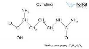 Cytrulina