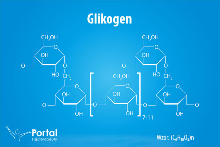 Glikogen