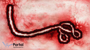 Patogen wirus ebola