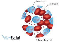 Trombocyt