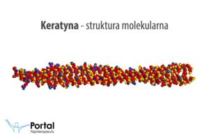 Keratyna - struktura molekularna