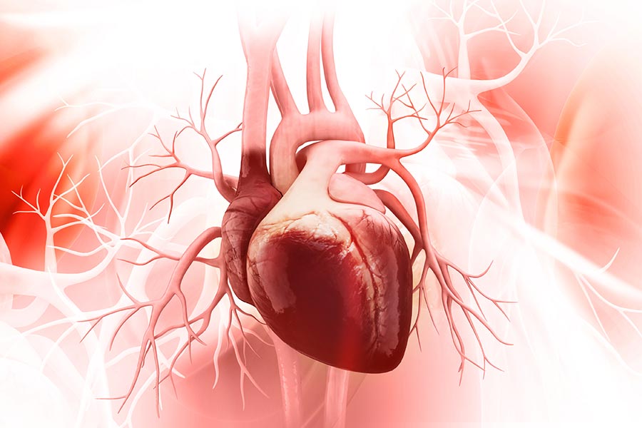 Jak wzmocnić nasze serce? 4 naturalne sposoby