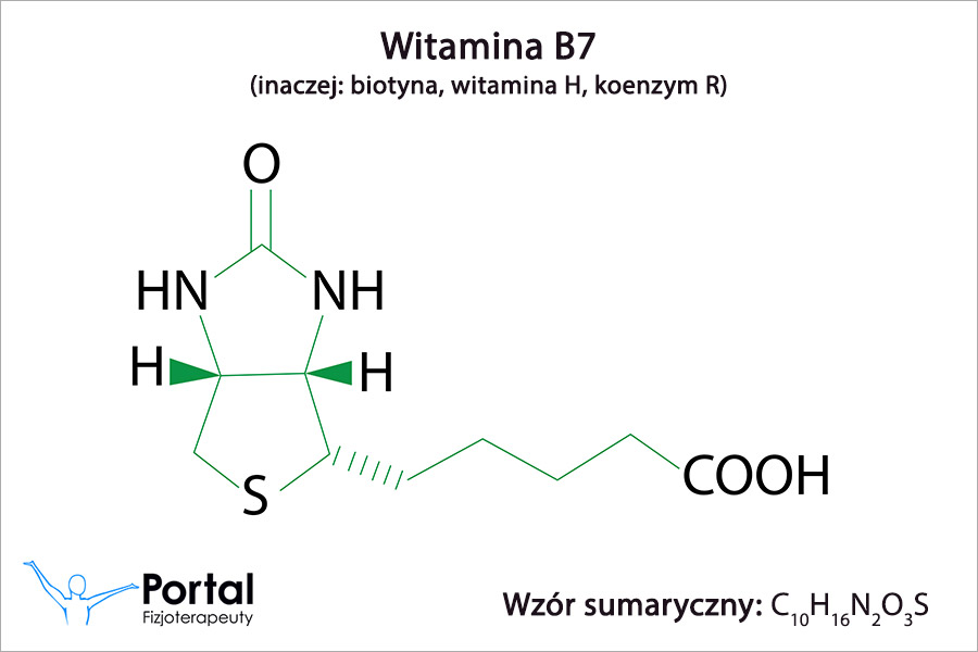 Witamina B7 (biotyna, witamina H, koenzym R)