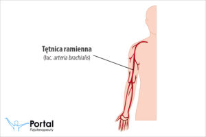 Tętnica ramienna (łac. arteria brachialis)