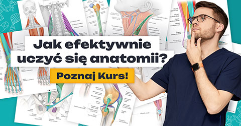 Kurs z Anatomii