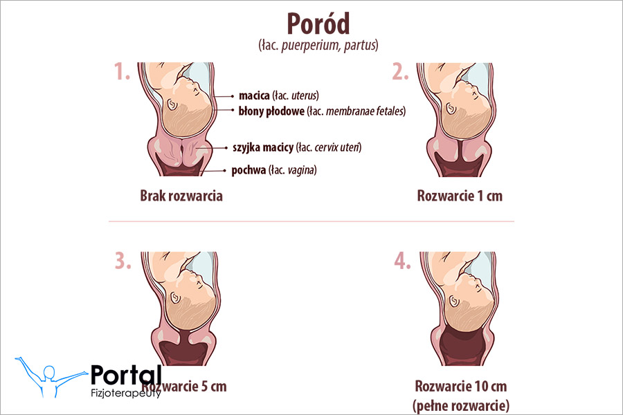 Poród (łac. puerperium, partus)