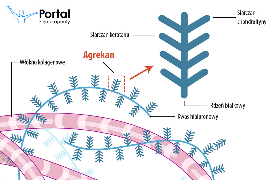 Agrekan