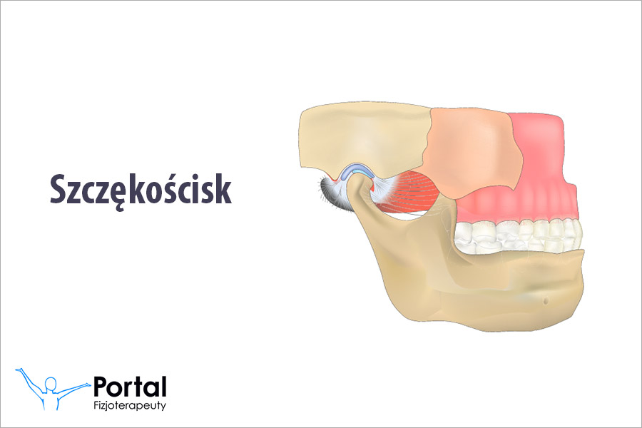 Szczękościsk