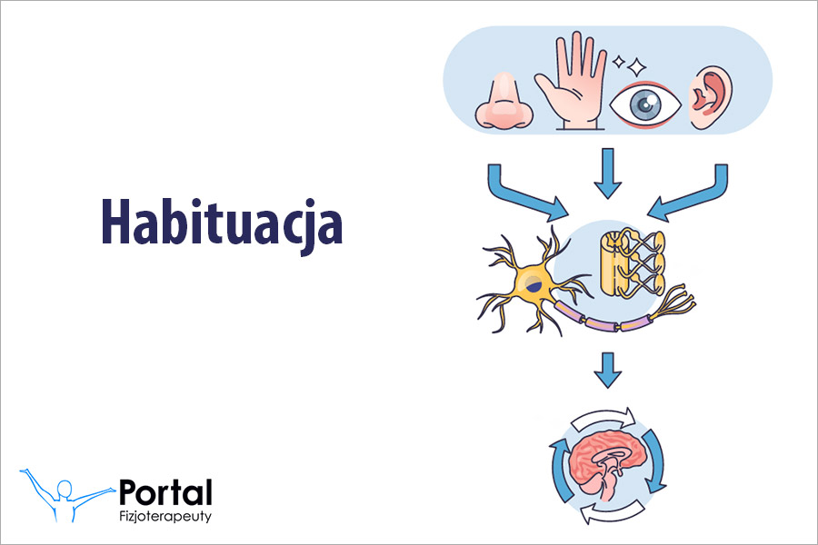 Habituacja