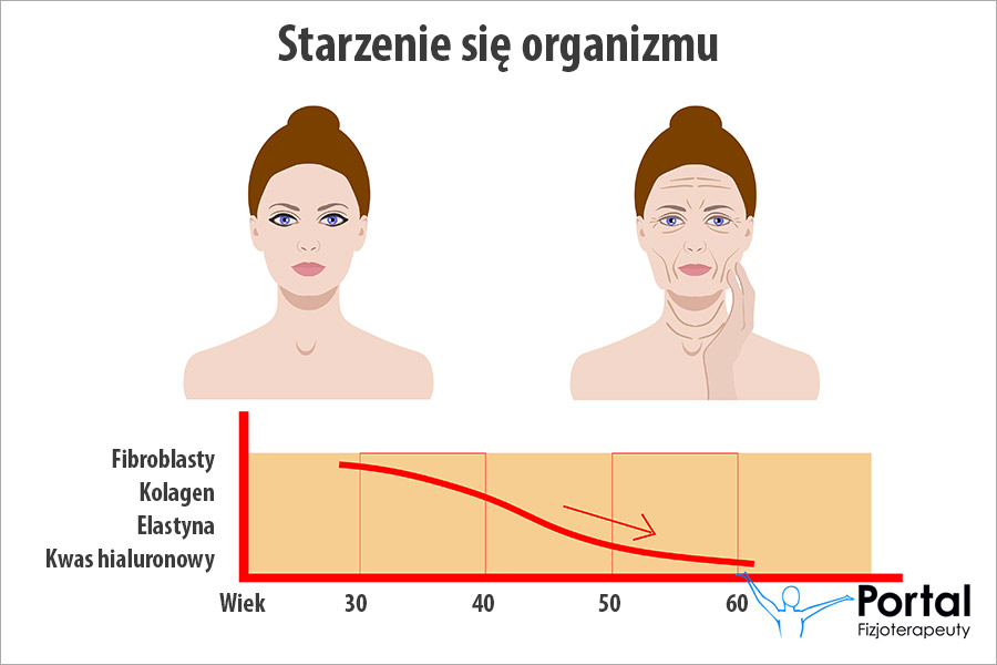 Starzenie się organizmu