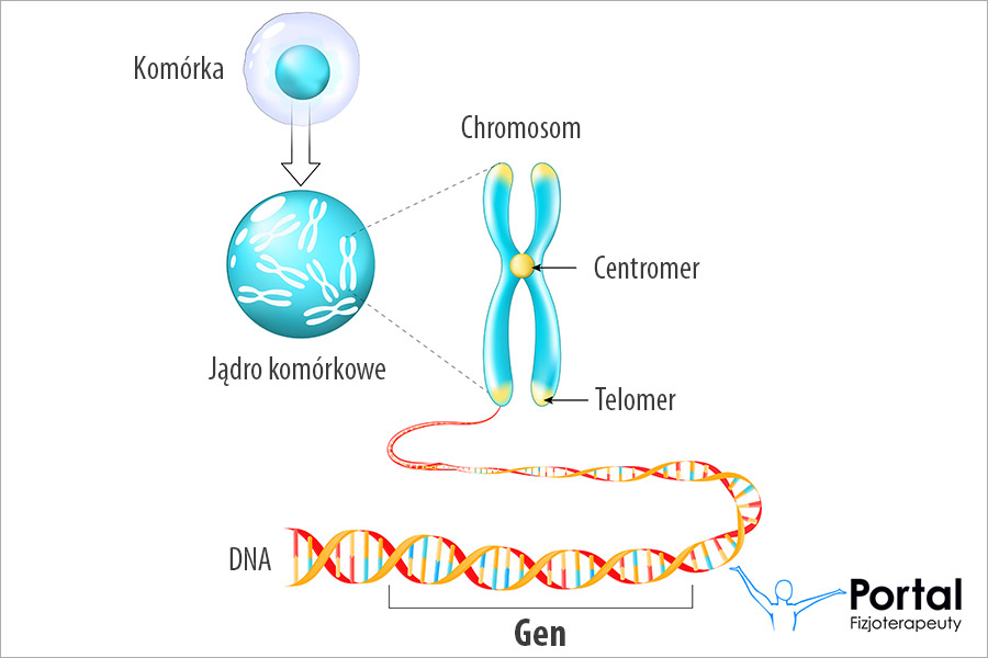 Gen