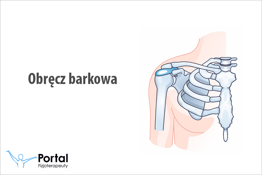 Obręcz barkowa
