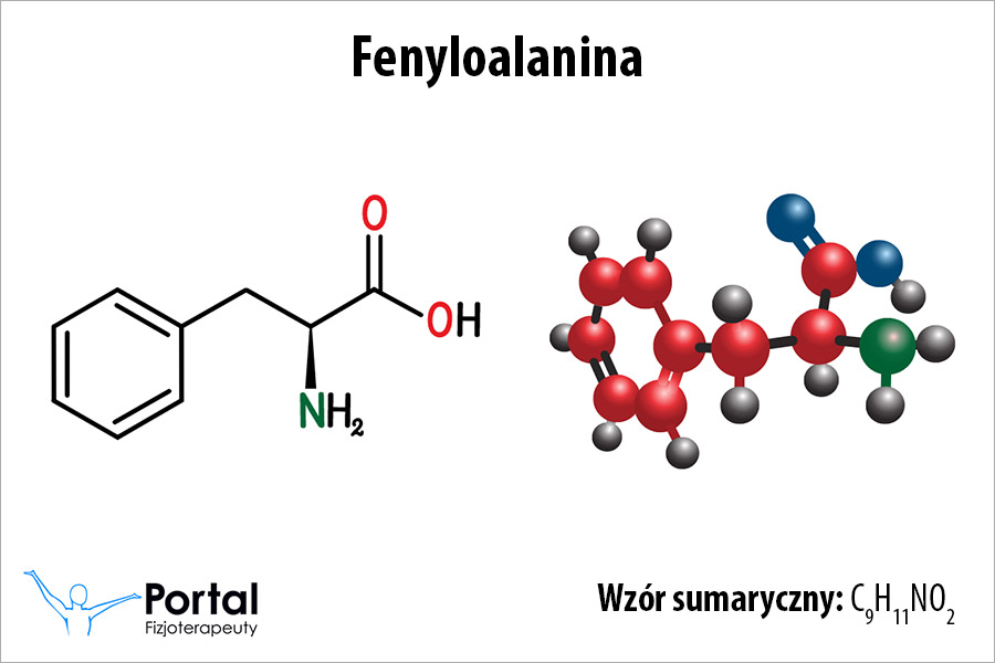 Fenyloalanina