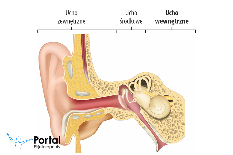 Ucho wewnętrzne