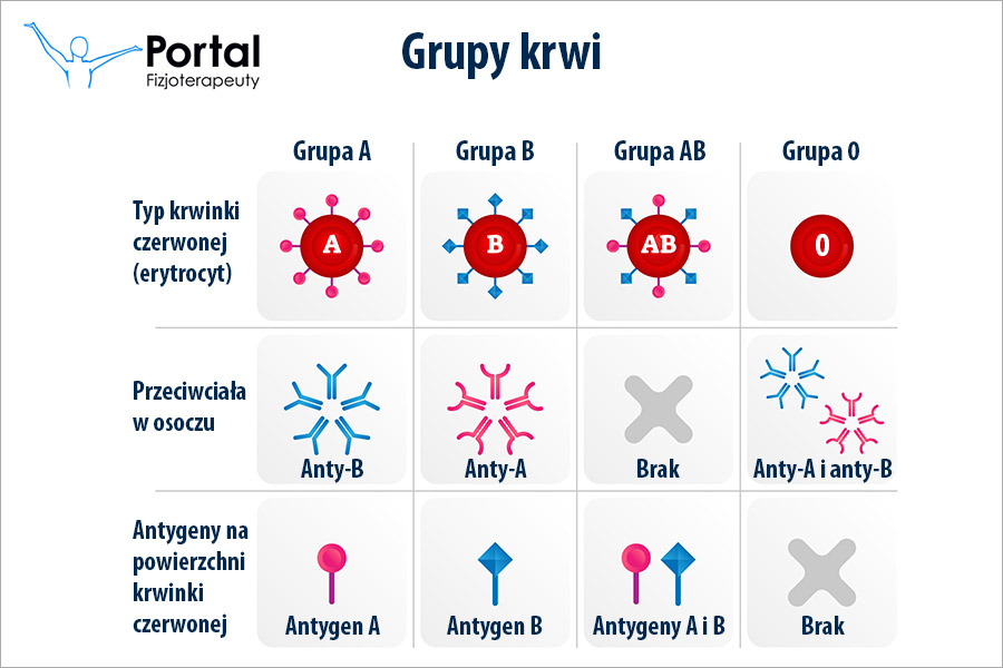 Grupa krwi