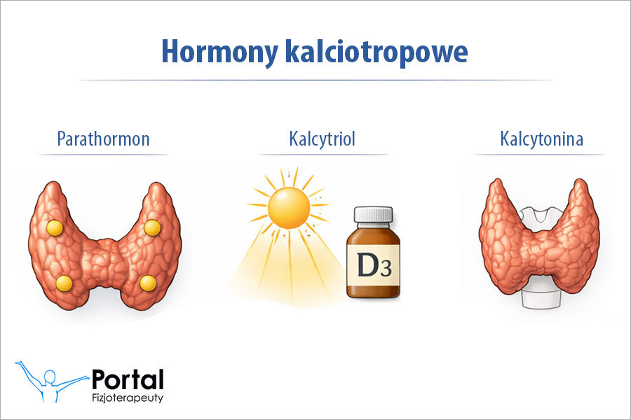 Hormony kalciotropowe