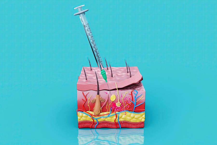 Poznaj budowę skóry – jej warstwy i najważniejsze funkcje