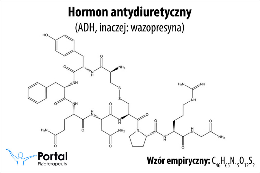 Hormon antydiuretyczny