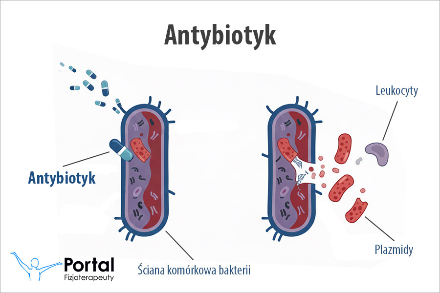 Antybiotyk Antybiotyk