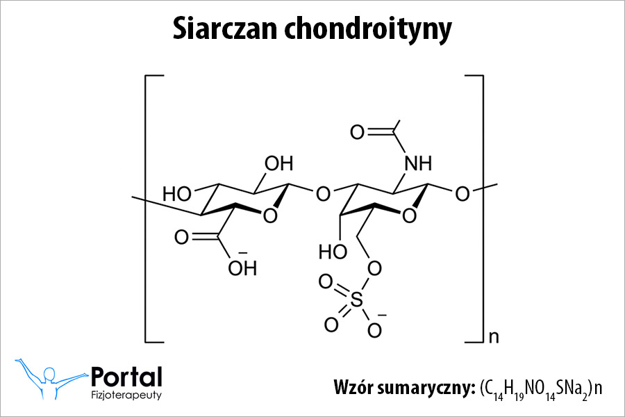 Siarczan chondroityny (chondroityna)