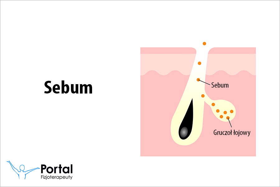Sebum
