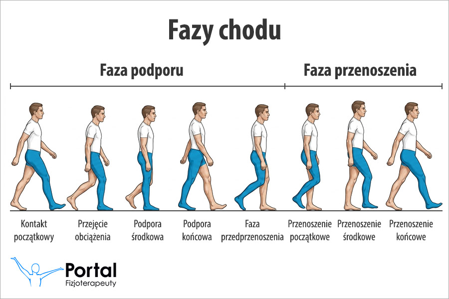 Wzorzec chodu
