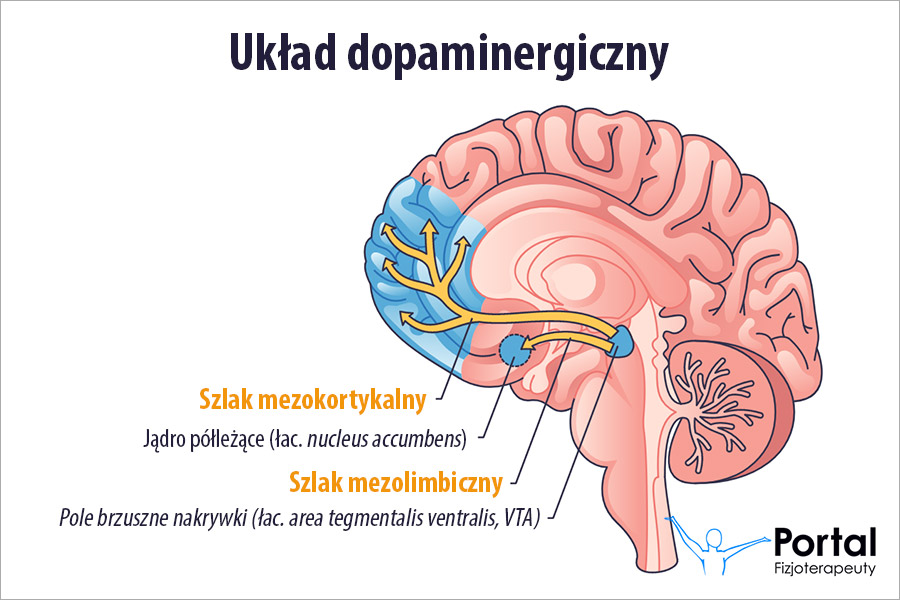 Układ dopaminergiczny