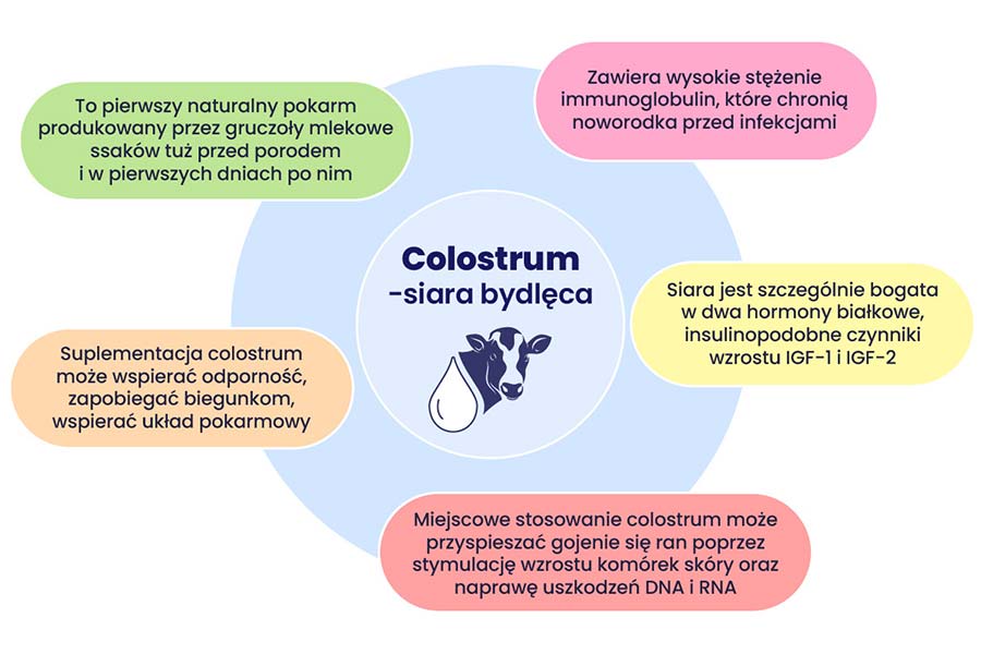 Colostrum właściwości Colostrum właściwości